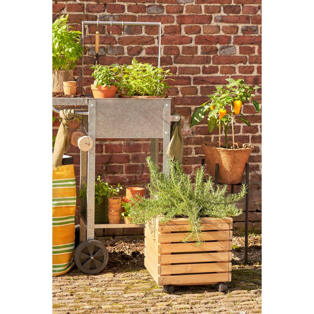 Glenwood Plantenbak Vierkant op Wielen voor Buiten - L35 x B35 x H35 cm - Acaciahout - Bruin